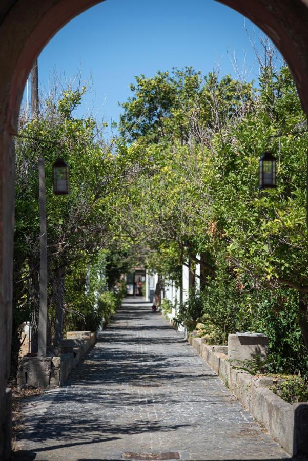 Controvento In Villa Eldorado Προτσίντα Εξωτερικό φωτογραφία