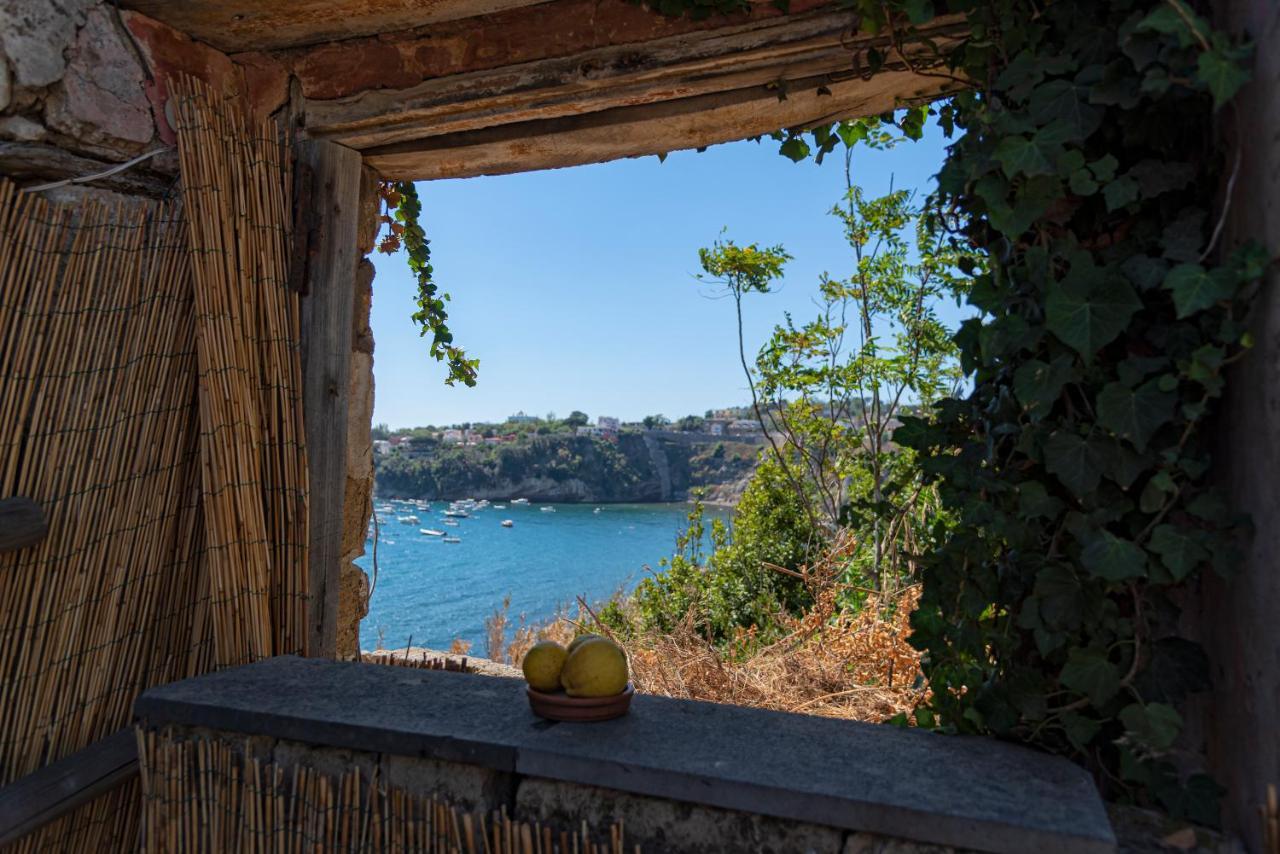 Controvento In Villa Eldorado Προτσίντα Εξωτερικό φωτογραφία